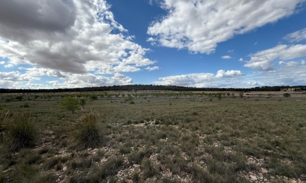 Land - Resale - Yecla - Yecla Centro