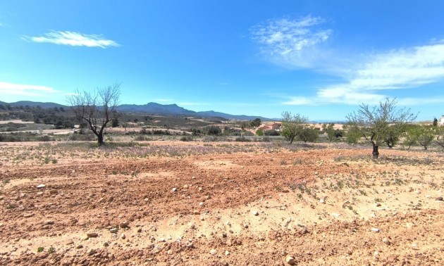 Land - zum Verkauf - Jumilla - Jumilla Centro