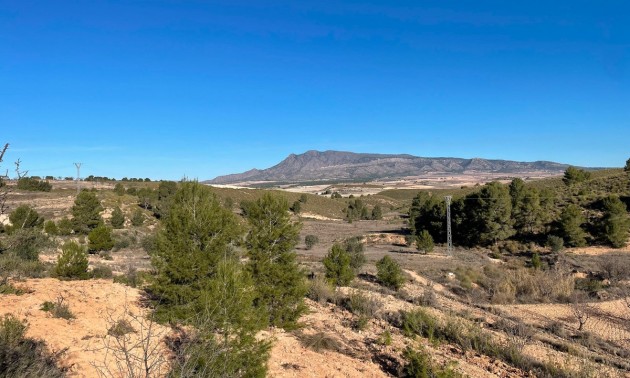Land - zum Verkauf - Jumilla - La Zarza