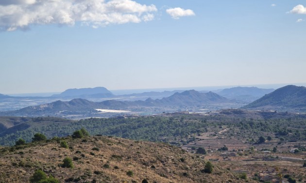 Land - zum Verkauf - La Romana - La Romana Centro