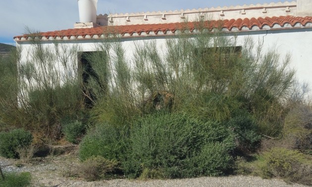 Land - zum Verkauf - Lorca - Lorca Centro