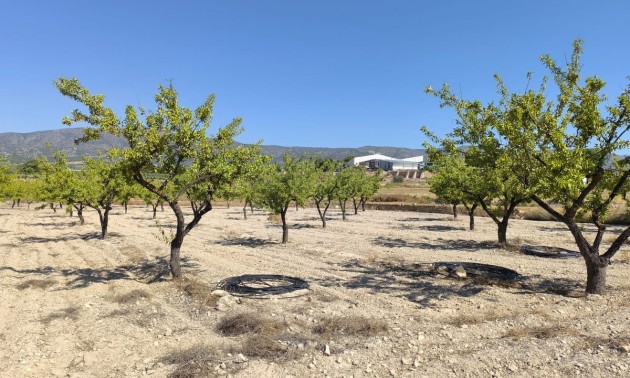 Land - zum Verkauf - Monóvar - Monòver - Monóvar - Monòver Centro