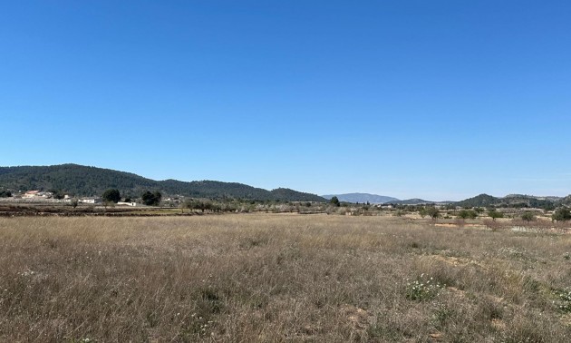 Land - zum Verkauf - Monóvar - Monòver - Monóvar - Monòver Centro