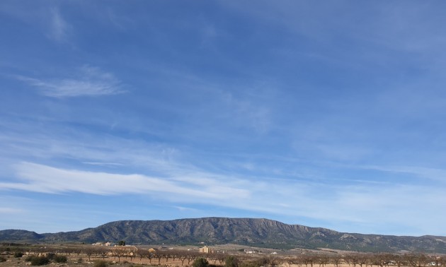 Land - zum Verkauf - Pinoso - Pinoso Centro