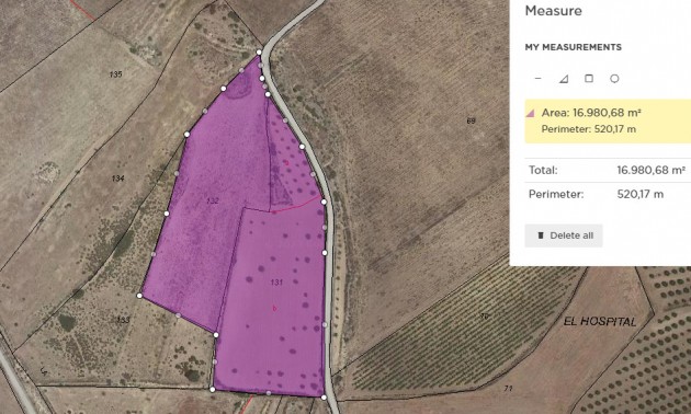 Land - zum Verkauf - Pinoso - Pinoso Centro