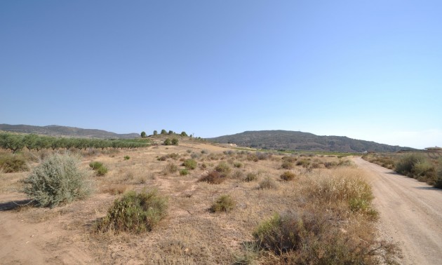 Land - zum Verkauf - Pinoso - Pinoso Centro