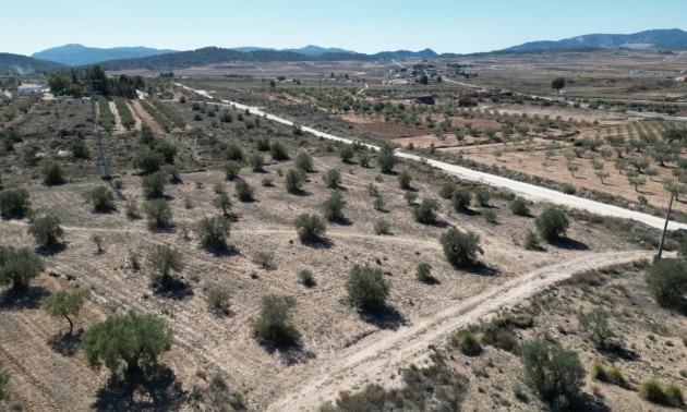 Land - zum Verkauf - Pinoso - Pinoso Centro
