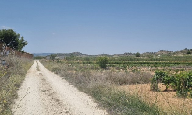 Land - zum Verkauf - Pinoso - Pinoso Centro