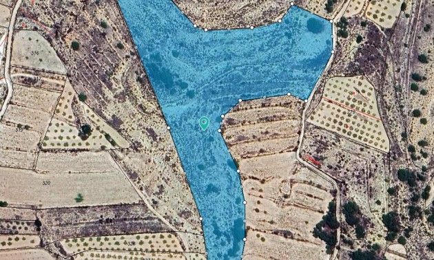 Land - zum Verkauf - Pinoso - Pinoso Centro