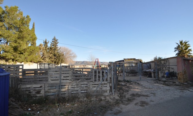 Land - zum Verkauf - Pinoso - Pinoso Centro