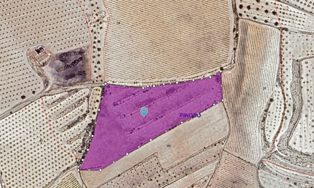 Land - zum Verkauf - Pinoso - Pinoso Centro