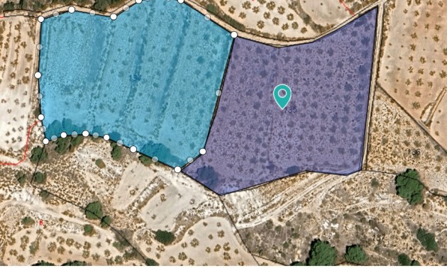 Land - zum Verkauf - Yecla - Raspay