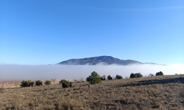 Land - zum Verkauf - Yecla - Yecla Centro