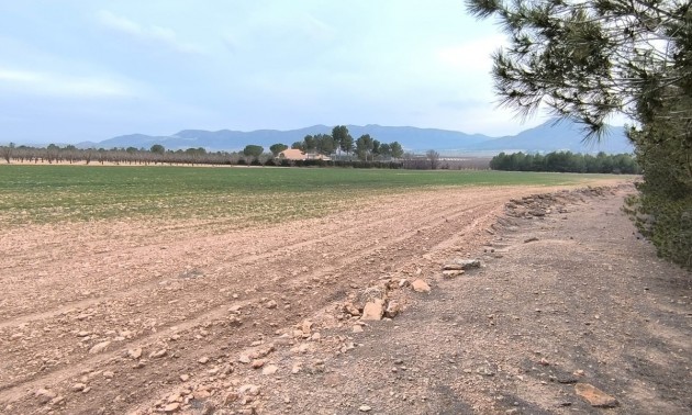 Land - zum Verkauf - Yecla - Yecla Centro