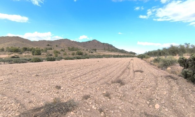 Land - zum Verkauf - Yecla - Yecla Centro