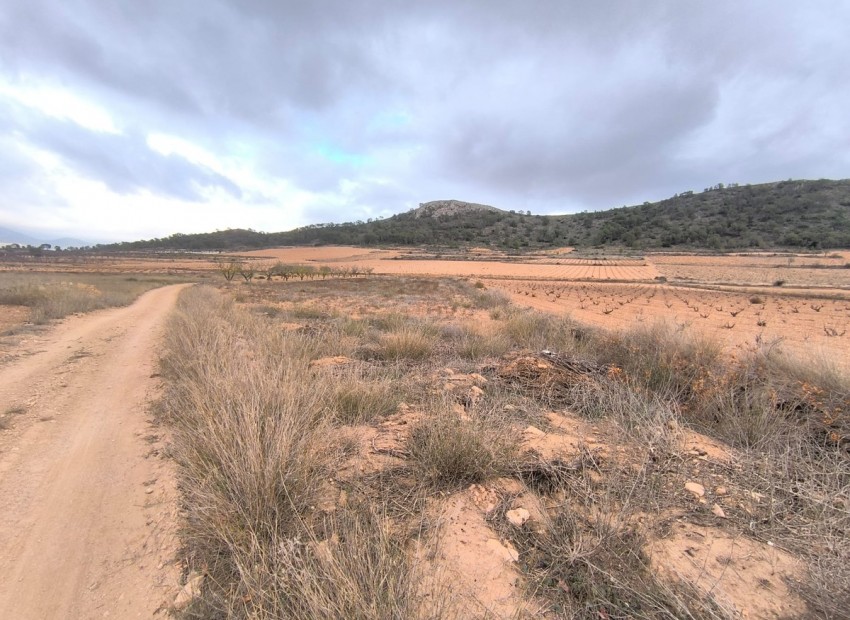  - Landa -  - La Solana