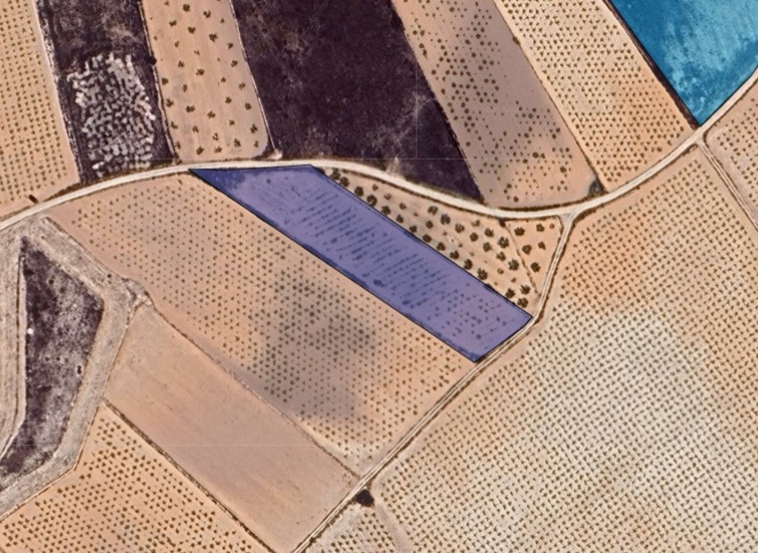  - Landa -  - La Solana