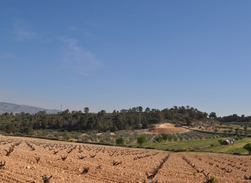  - Landa -  - La Zarza