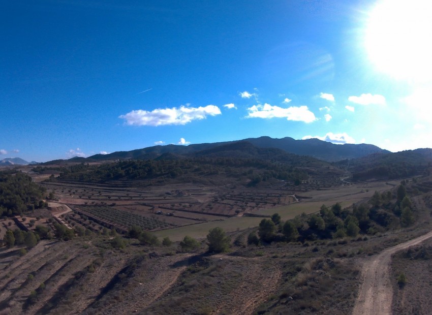  - Landa -  - La Zarza