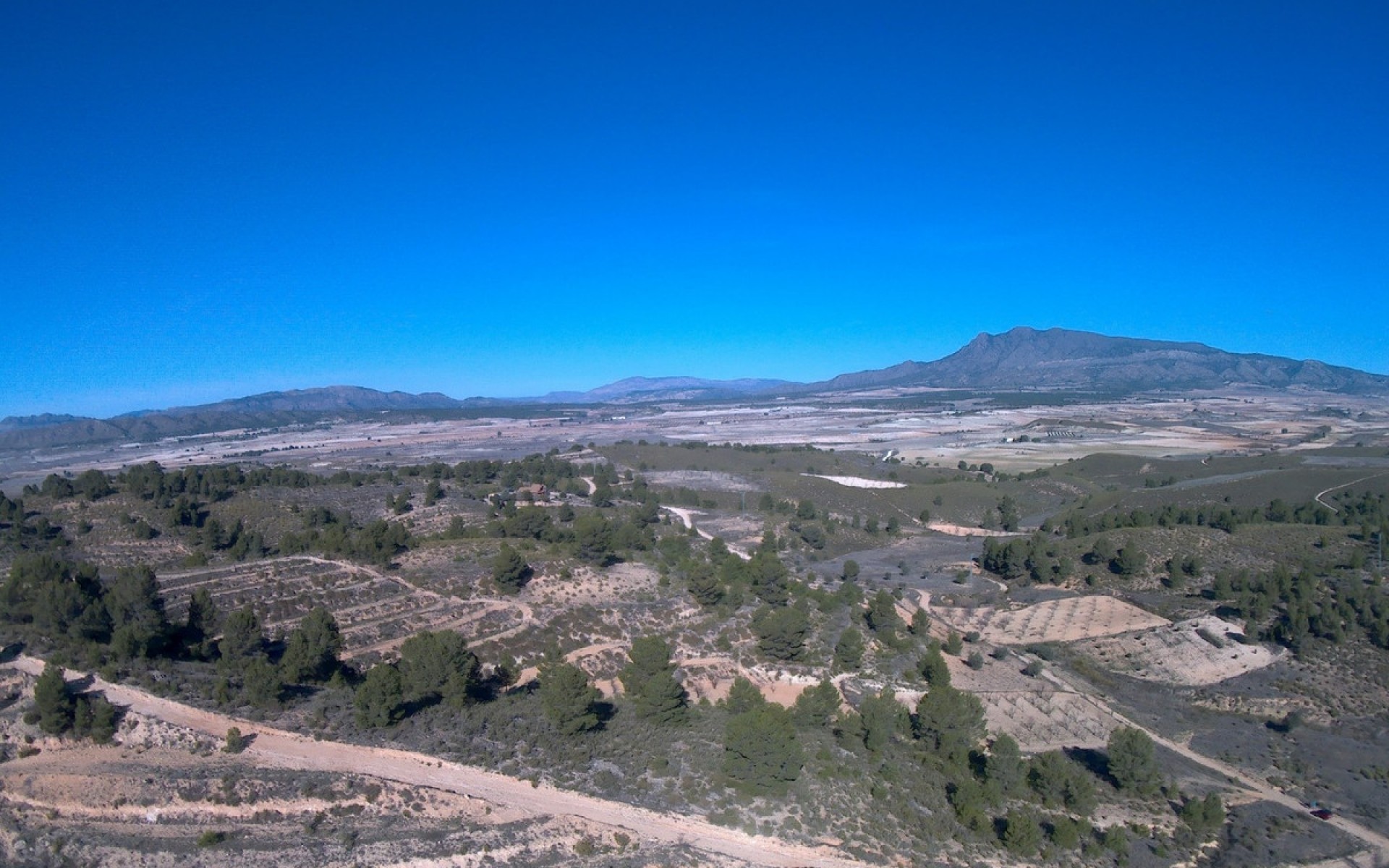  - Landa -  - La Zarza