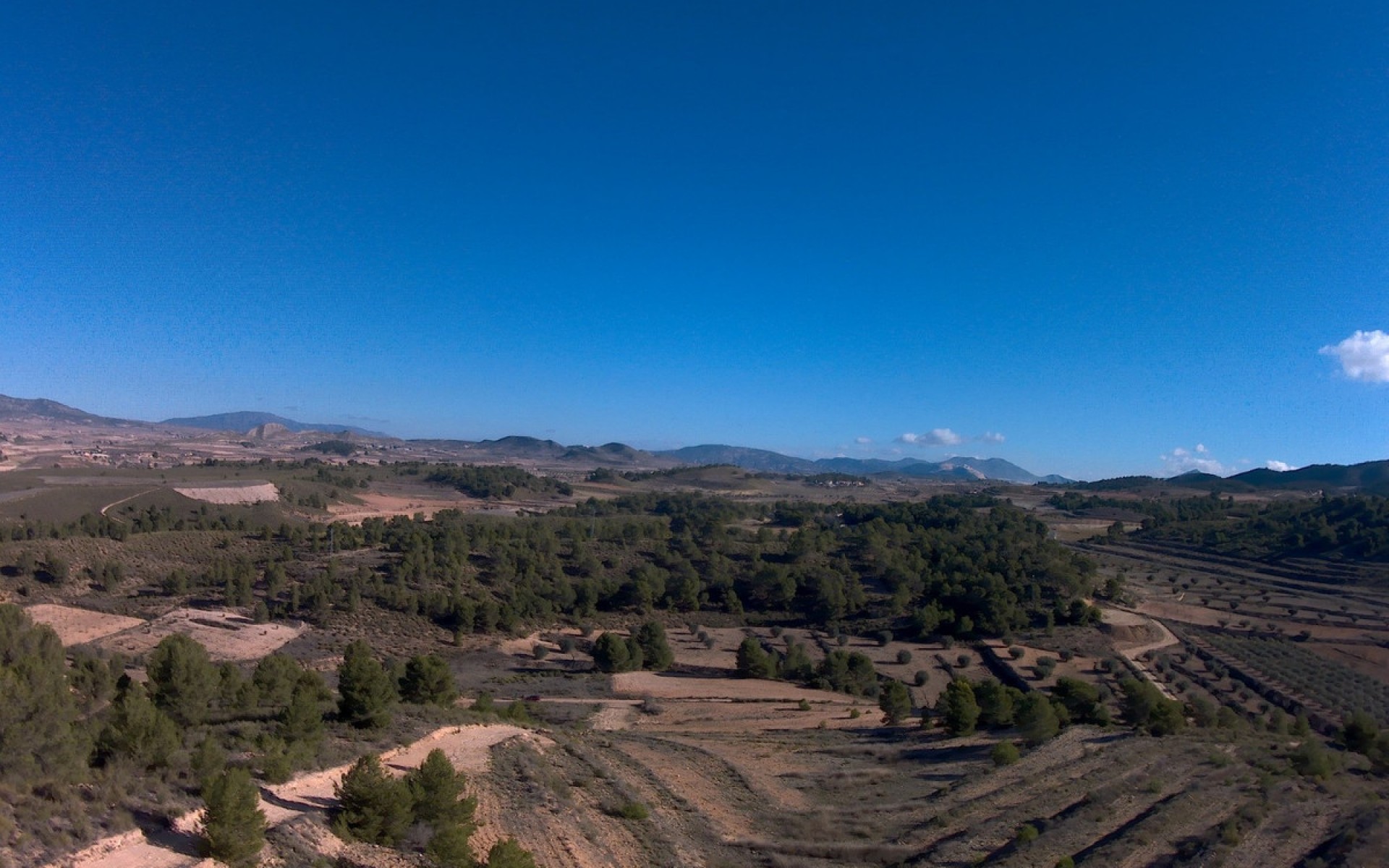  - Landa -  - La Zarza