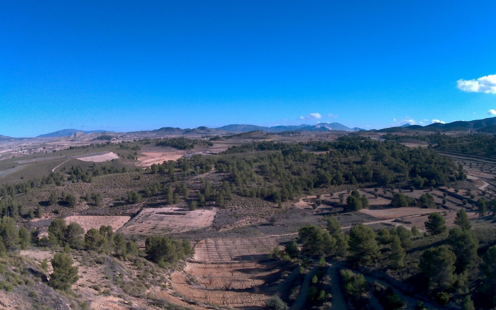  - Landa -  - La Zarza