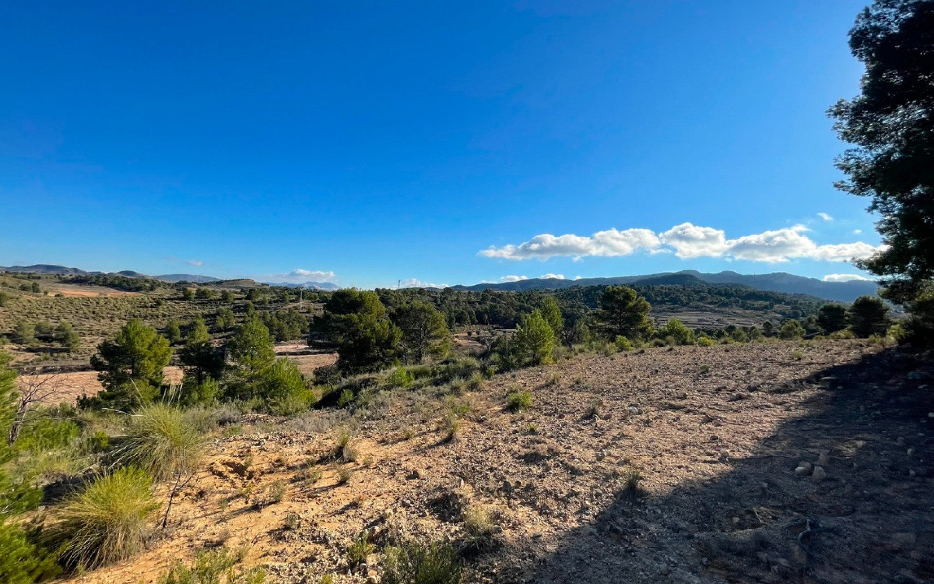  - Landa -  - La Zarza