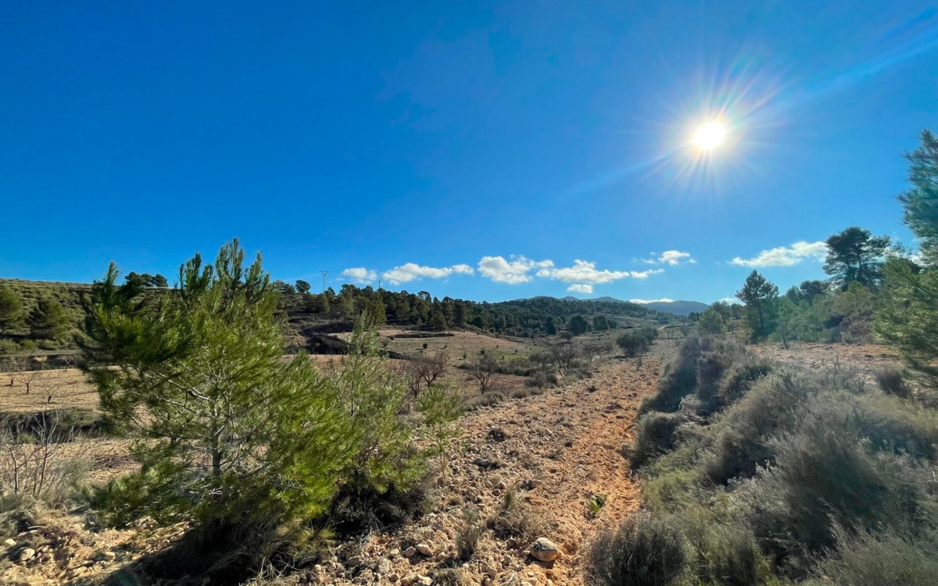  - Landa -  - La Zarza