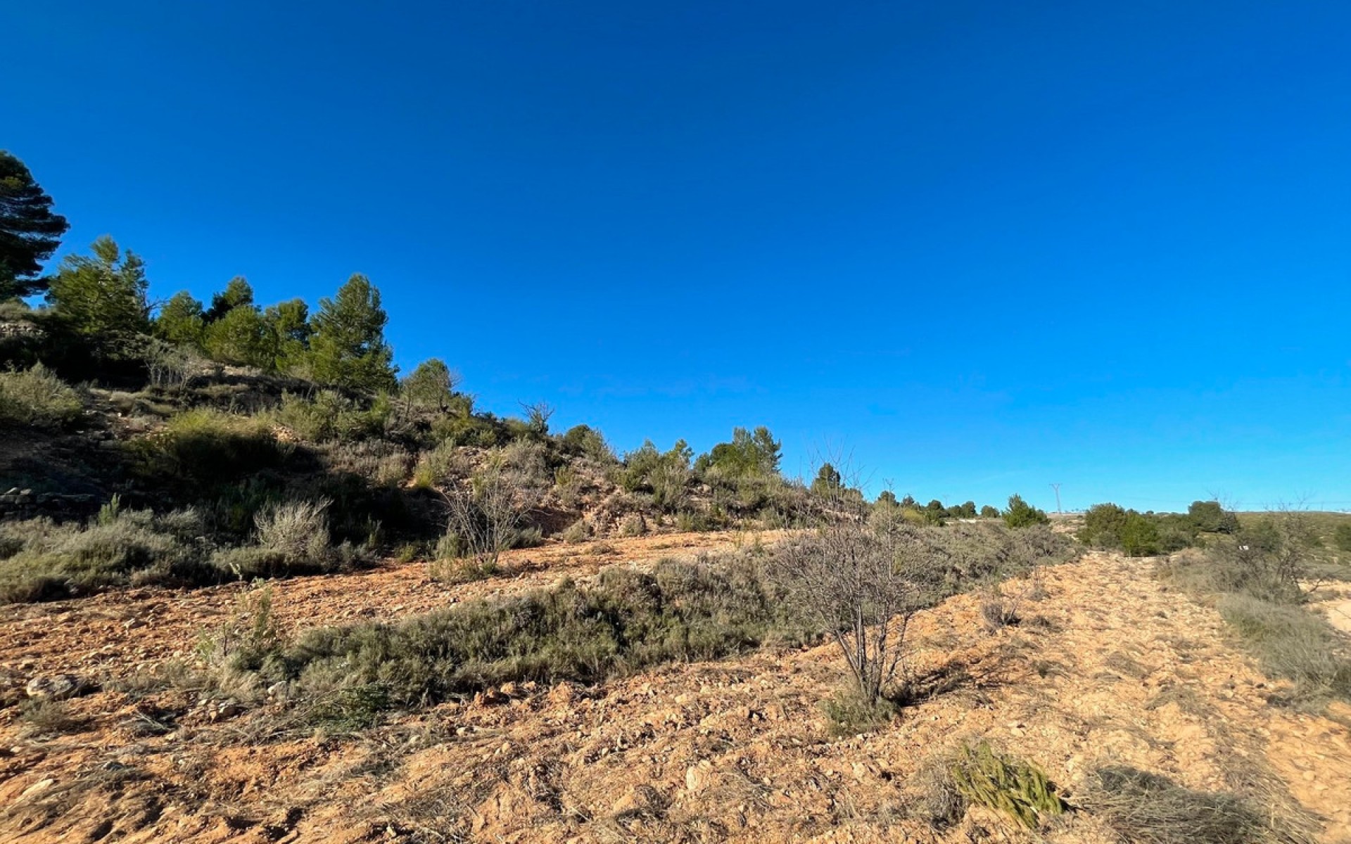  - Landa -  - La Zarza