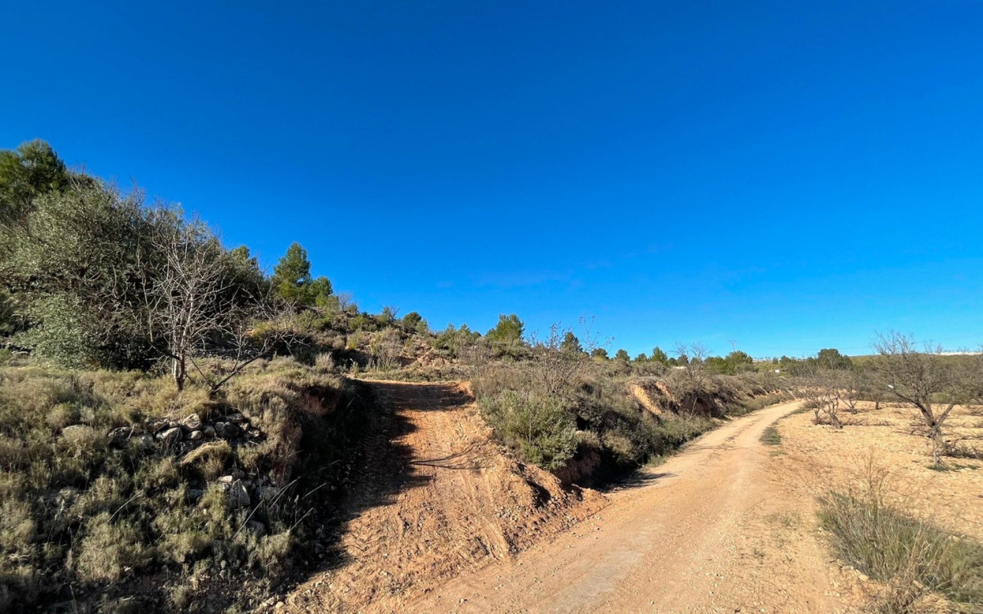  - Landa -  - La Zarza