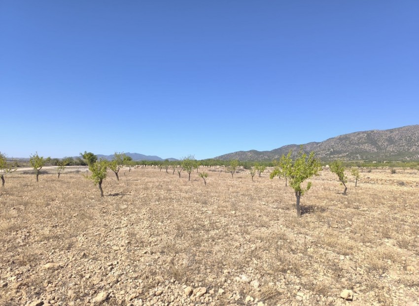  - Landa - Monóvar - Monòver - Monóvar - Monòver Centro