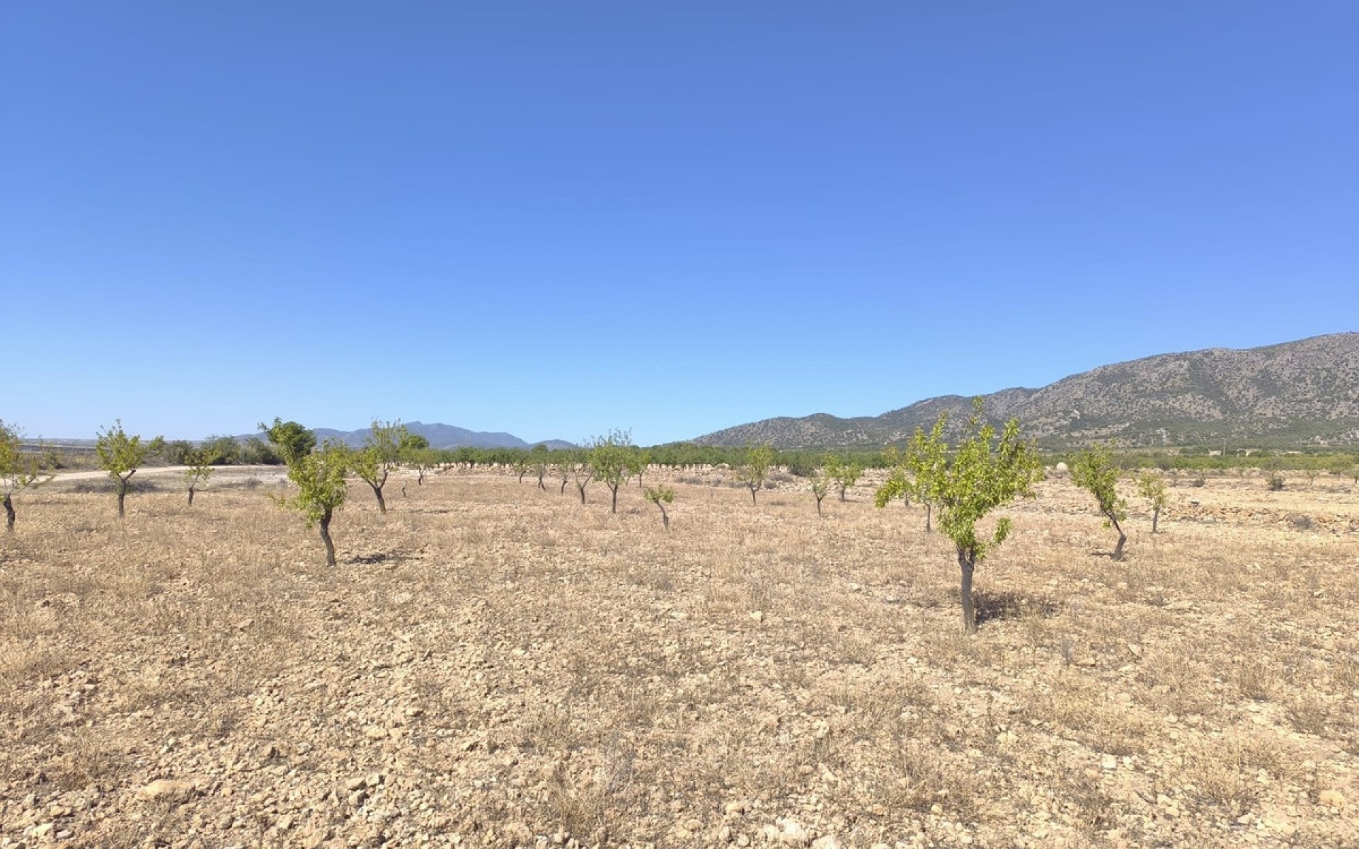  - Landa - Monóvar - Monòver - Monóvar - Monòver Centro