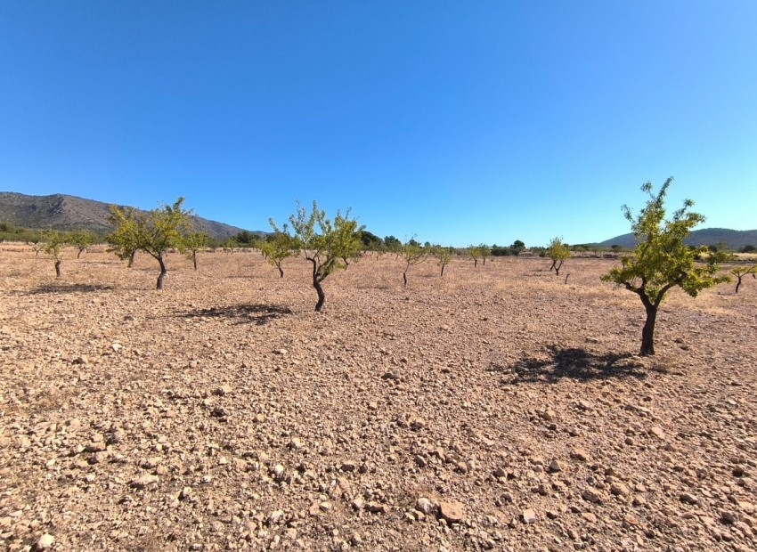  - Landa - Monóvar - Monòver - Monóvar - Monòver Centro