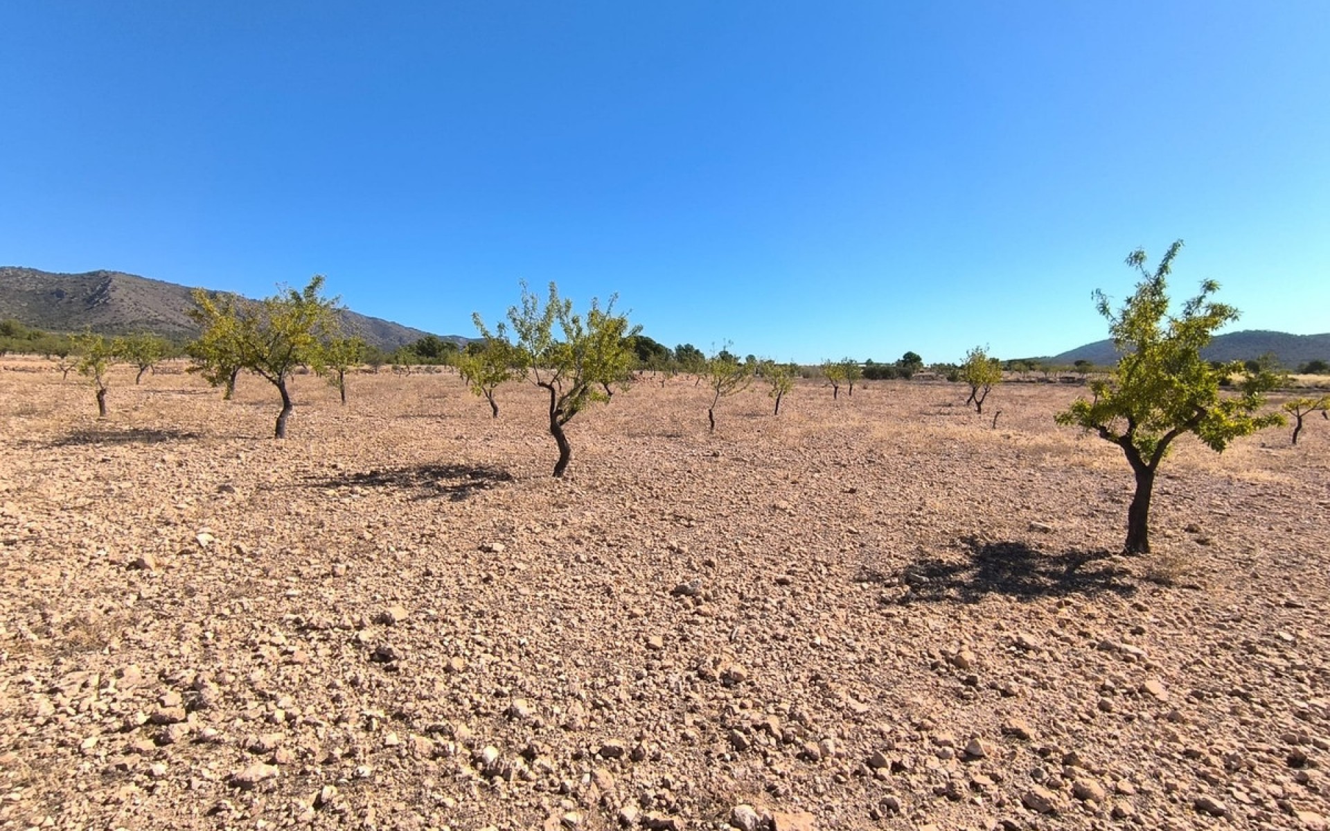  - Landa - Monóvar - Monòver - Monóvar - Monòver Centro