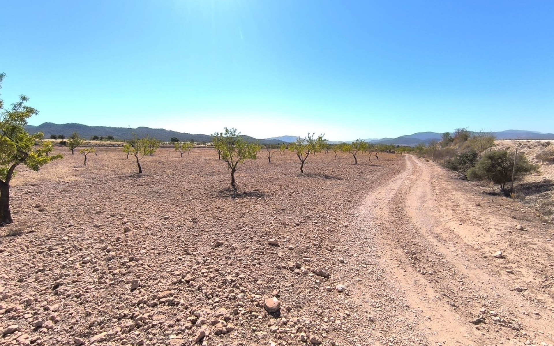  - Landa - Monóvar - Monòver - Monóvar - Monòver Centro