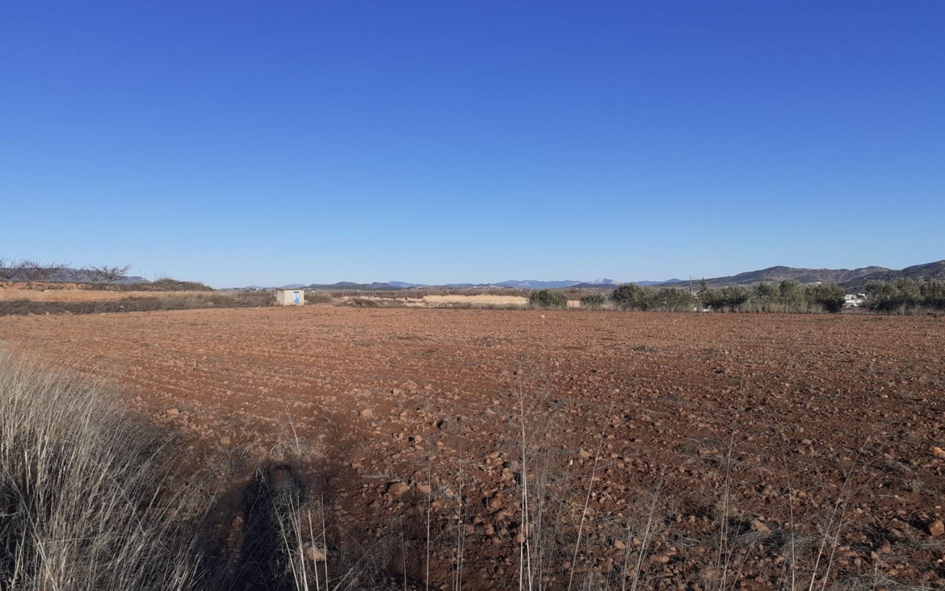  - Landa -  - Pinoso Centro