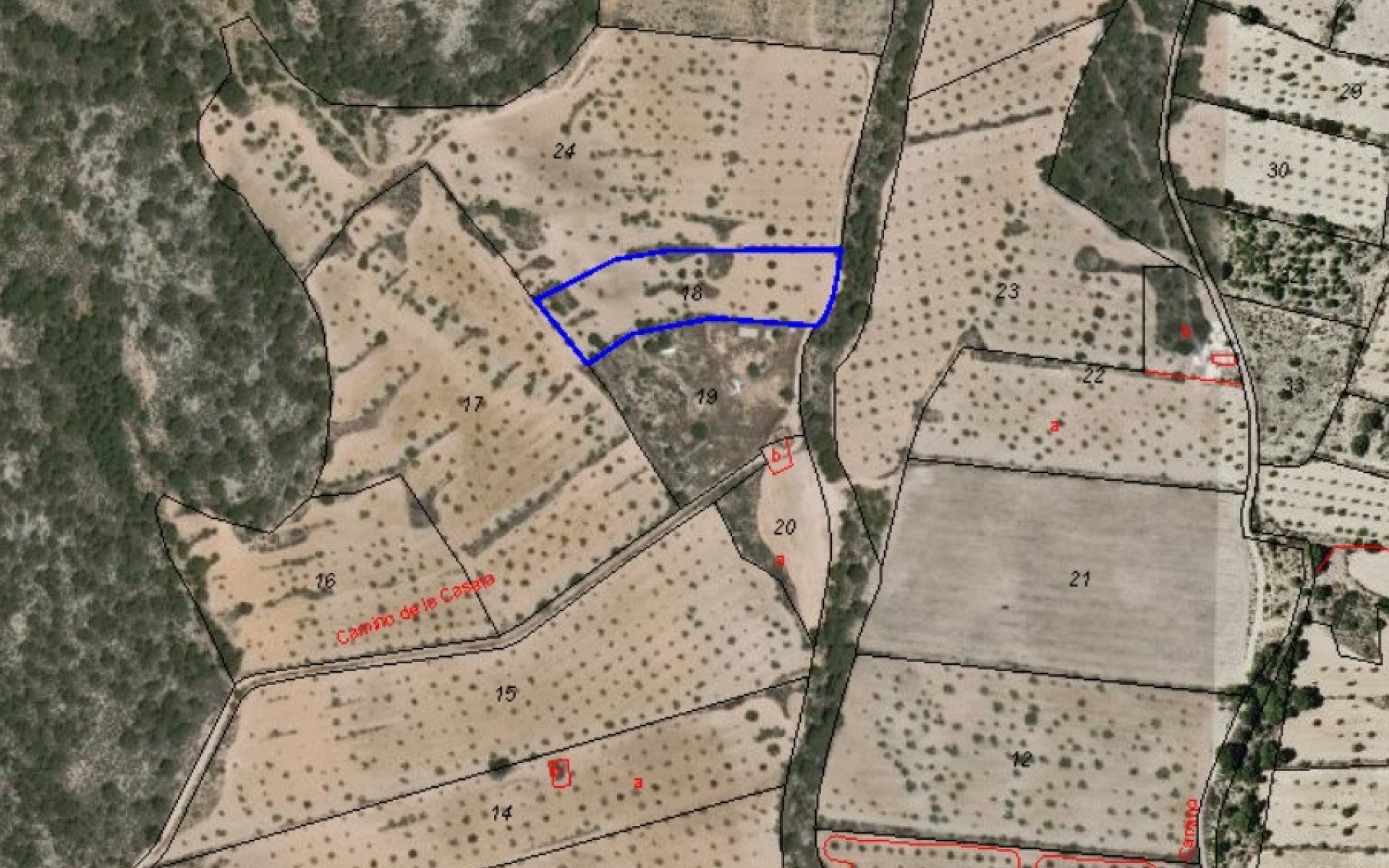  - Landa -  - Pinoso Centro