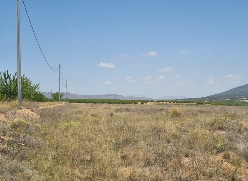  - Landa -  - Yecla Centro