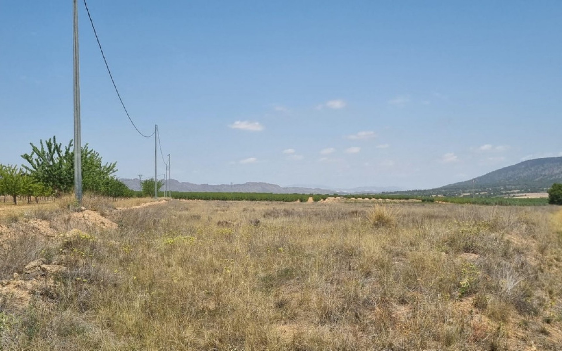  - Landa -  - Yecla Centro