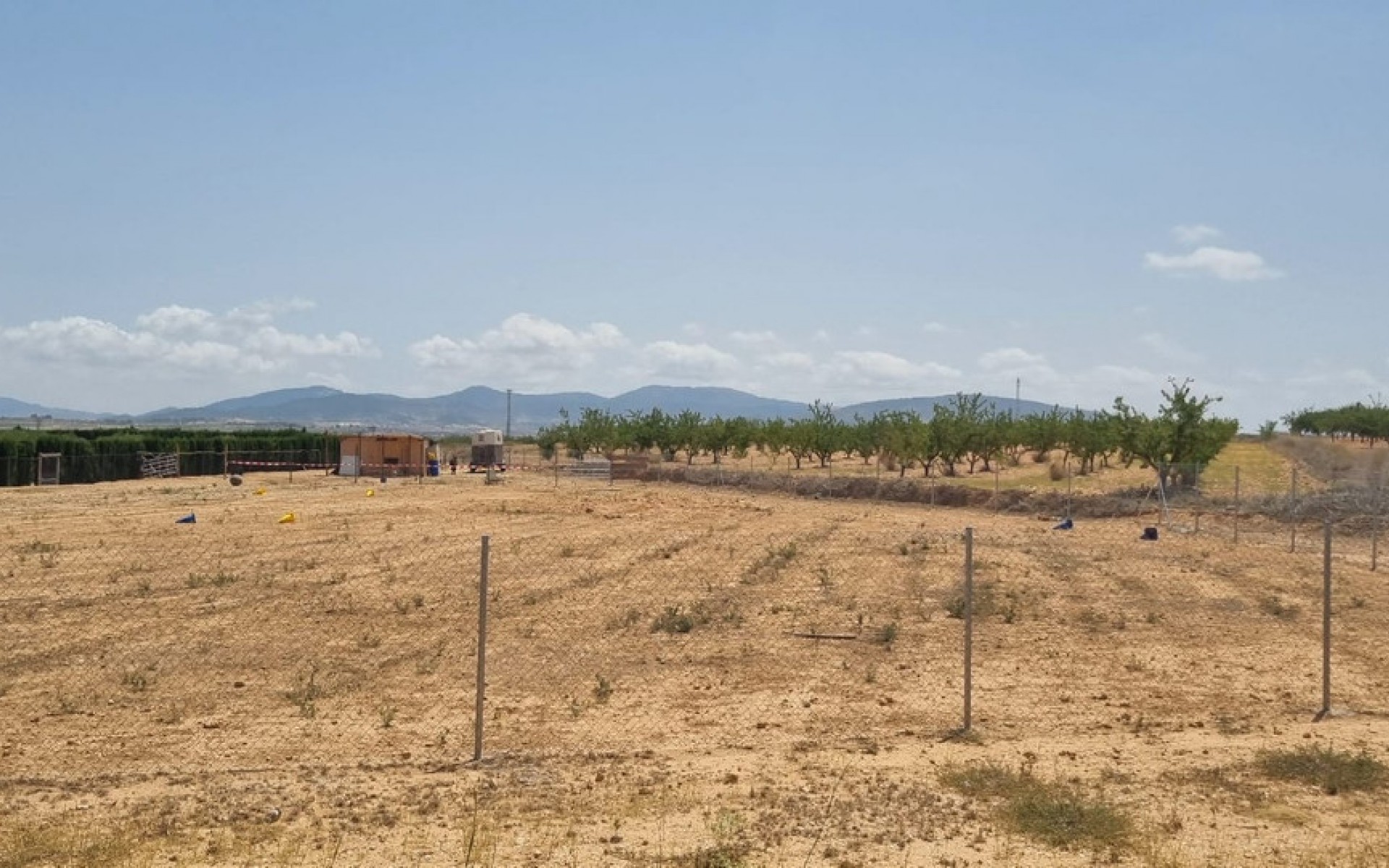  - Landa -  - Yecla Centro