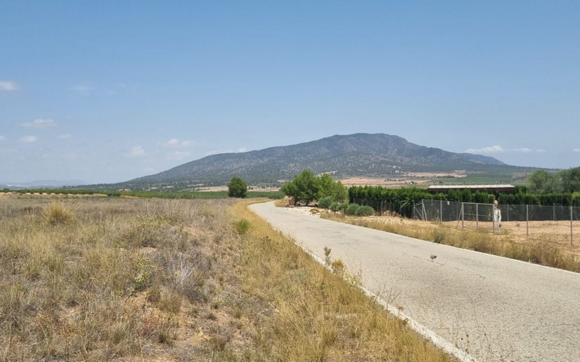  - Landa -  - Yecla Centro