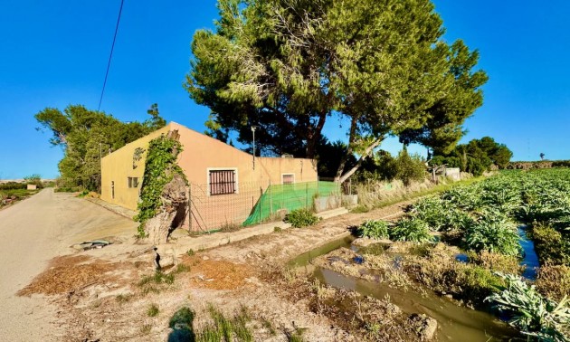 Landhaus - zum Verkauf - Guardamar Del Segura - Guardamar del Segura