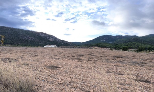 Landhaus - zum Verkauf - Yecla - Yecla Centro