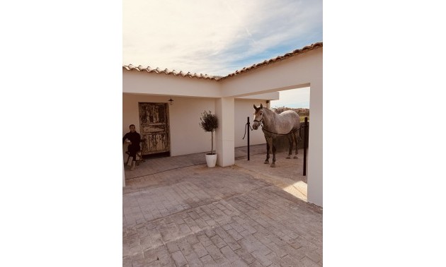 Maison de campagne - A Vendre - Algorfa - Algorfa Centro