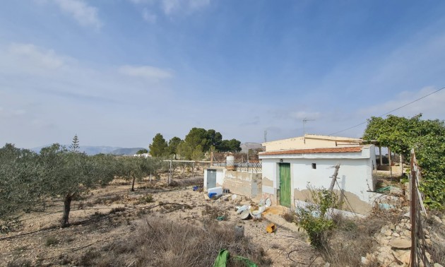 Maison de campagne - A Vendre - La Romana - La Romana Centro