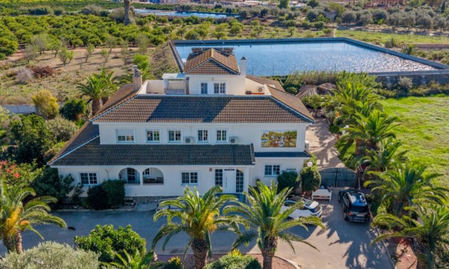 Maison de campagne - A Vendre - Los Montesinos - CSPR-60235