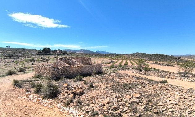 Maison de campagne - A Vendre - Pinoso - Pinoso Centro