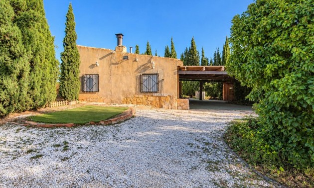 Maison de campagne - A Vendre - Pinoso - Pinoso Centro