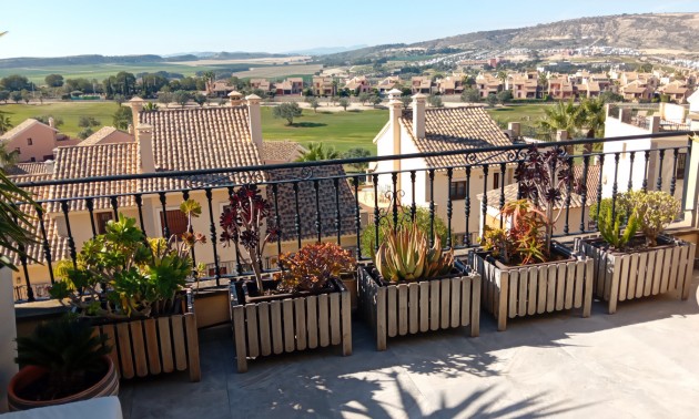 Maison de ville - A Vendre - Algorfa - La Finca Golf