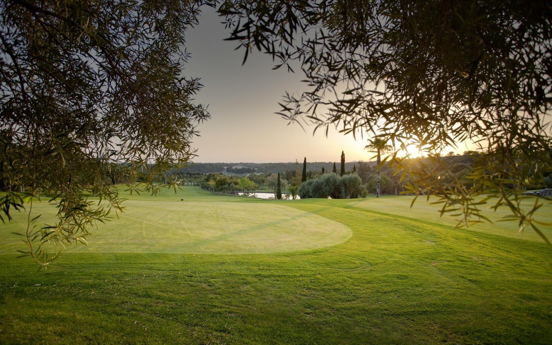 Neubau - Apartment - Campoamor